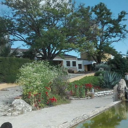 La Escuela Del Campo Bed & Breakfast Setenil De Las Bodegas Exterior foto