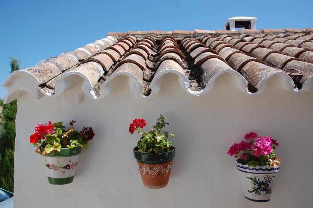 La Escuela Del Campo Bed & Breakfast Setenil De Las Bodegas Exterior foto