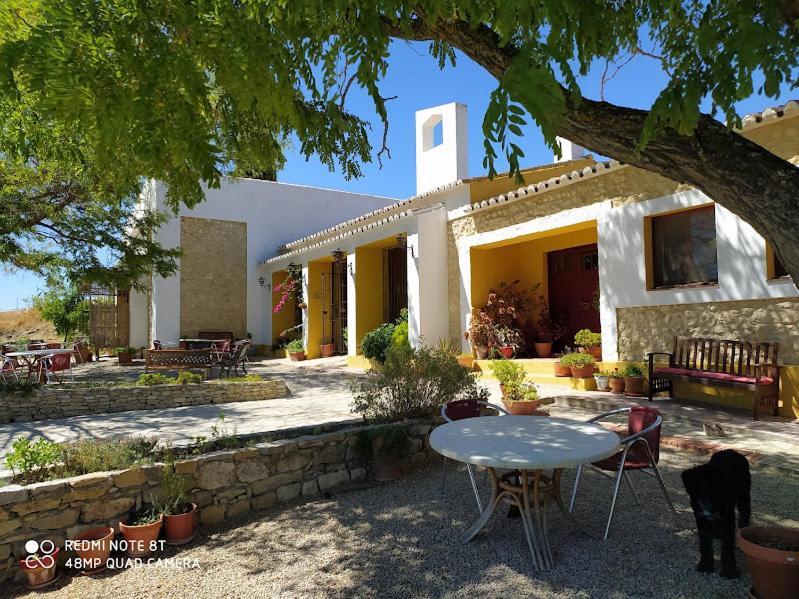 La Escuela Del Campo Bed & Breakfast Setenil De Las Bodegas Exterior foto